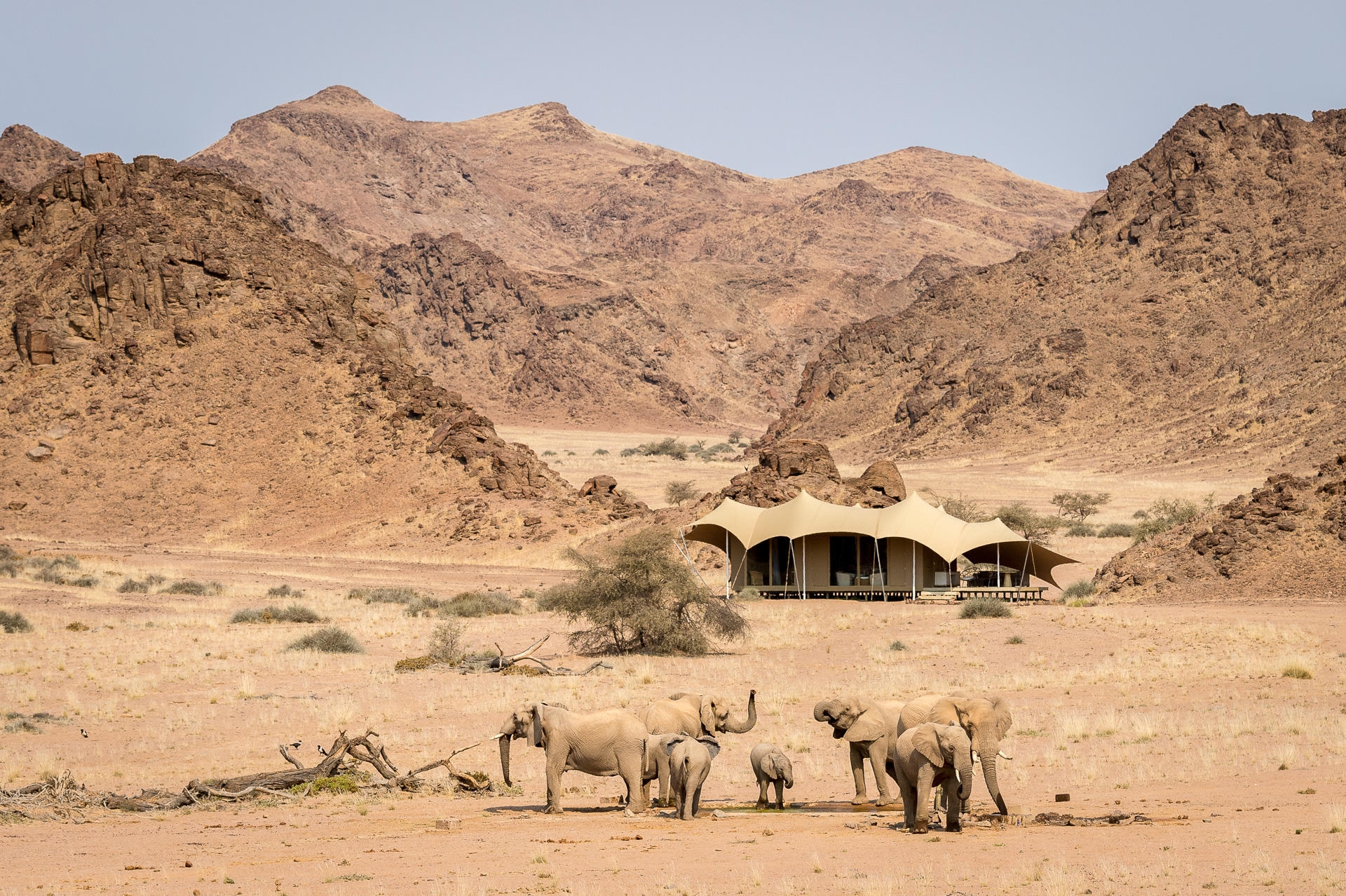 Wilderness Hoanib Skeleton Coast Camp